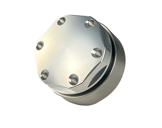 Cap and Bung Assembly, AN #20 Style, Stainless Steel Bung