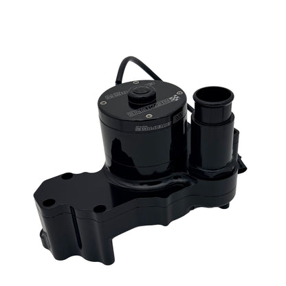Electric Pump LT1, 2013 up, High Flow Race Model