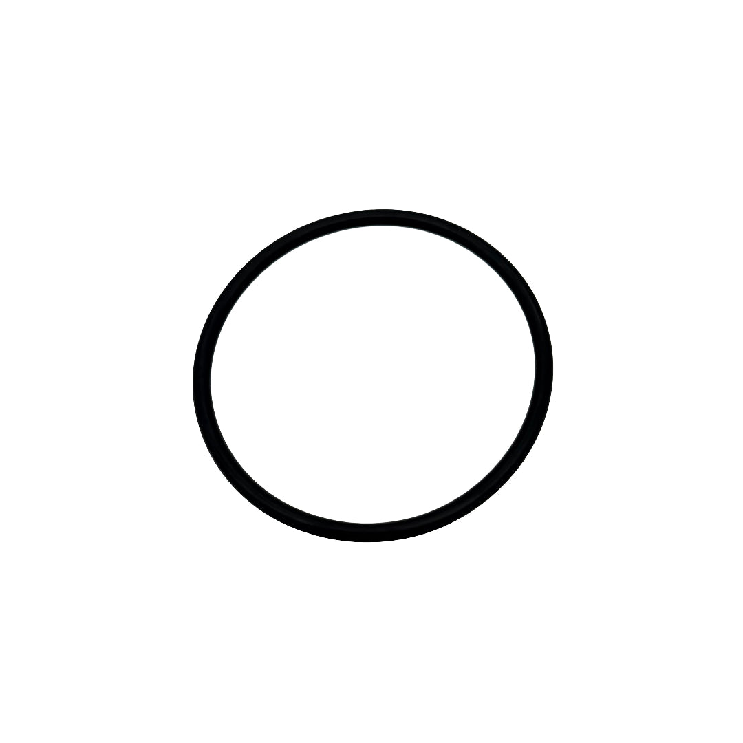 Replacement O-Ring, Fits 20GPM Inline Remote